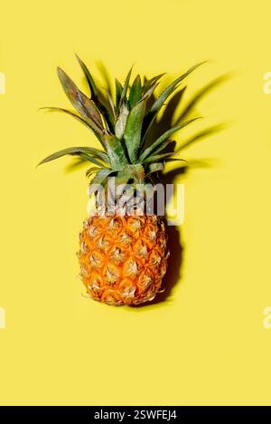 Mini pineapple on a solid yellow background Stock Photo