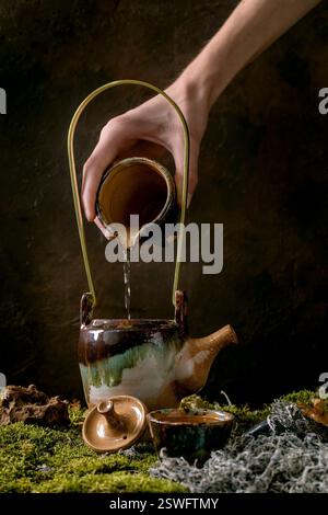 Craft handmade ceramic teapot on moss as background Stock Photo