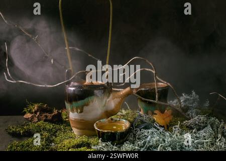Craft handmade ceramic teapot on moss as background Stock Photo