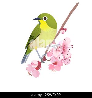 Japanese Nightingale on a branch of cherry blossoms. Hanami in Japan. Pink Sakura and Uguisu. Songbird symbol of spring and love isolated on a white background. Vector illustration. Stock Vector