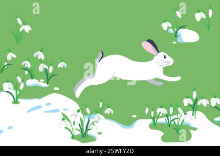 The concept of the arrival of spring and the awakening of nature after winter. Melting snow, snowdrops and a hare running on the green grass. Vector illustration. Flowers sprout through the snow. Stock Vector