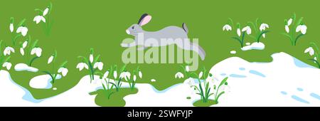 The concept of the arrival of spring and the awakening of nature after winter. Melting snow, snowdrops and a hare running on the green grass. Vector illustration. Flowers sprout through the snow. Stock Vector