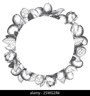 Vector round frame made of walnut in engraving technique. Unripe walnut seeds whole and halves, leaves and branches in a wreath. Design for Nocino liqueur. Line sketch in black ink. Stock Vector