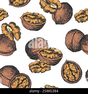 Vector seamless pattern of walnuts. Background of open walnut kernel and whole walnut. Design for wallpaper, packaging, textile. Black and white sketch isolated on white background. Engraving style. Stock Vector
