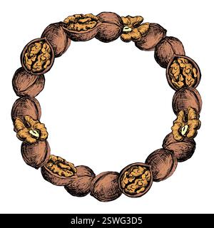 Vector round frame of walnuts. Wreath of open walnut kernel, whole walnut. Design for packaging of nut paste, liqueur or oil. Color sketch isolated on white background. Engraving style, ink. Stock Vector