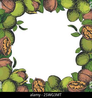 Square frame of walnuts with space for text. Vector illustration in color engraving technique. Walnuts whole and peeled kernels, leaves on white background. Design for nut paste, oil, liqueur. Stock Vector