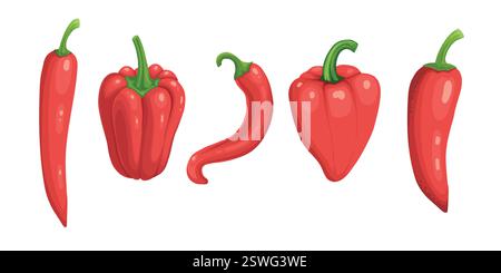 Closeup chilly pepper. Hot red chili peppers, cartoon mexican chilli or chillies illustration, vectors paprika icon signs isolated on white background Stock Vector