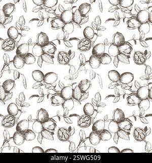 Seamless pattern of walnut branches. Vector background with kernels, leaves and nut skin. Engraving style illustration. Design for packaging, wallpaper, kitchen textile. Hand drawn ink sketch. Stock Vector