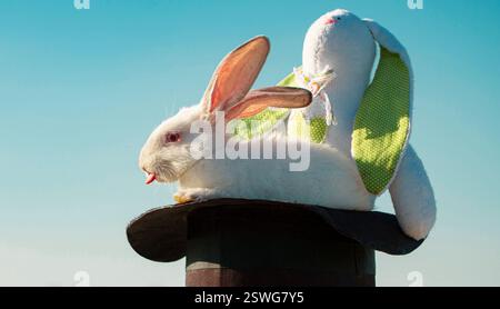 Easter bunny magician with plush toy rabbit. Stock Photo