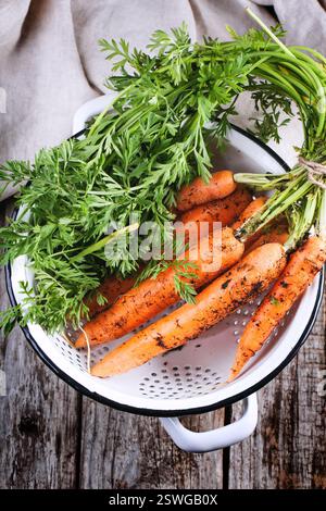 Carrot in colander Stock Photo