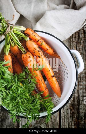 Carrot in colander Stock Photo