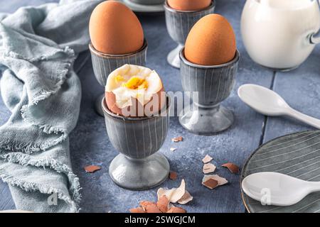 Boiled brown eggs in gray egg cups on gray background, preparation for breakfast Stock Photo