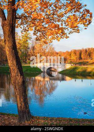 Bright autumn landscape with State Museum Reserve Gatchina. Sunny autumn view of the park, Karpin Pond and old stone bridge. Stock Photo