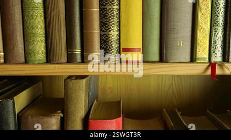 View of two rows of old books in the book collection. Vintage books in an antique bookcase. The concept of education, wisdom and love of knowledge Stock Photo