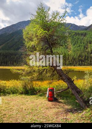 Vertical view of large orange tourist backpack under an autumn tree on the lakeshore. A tourist stop. Rest time, camping life co Stock Photo
