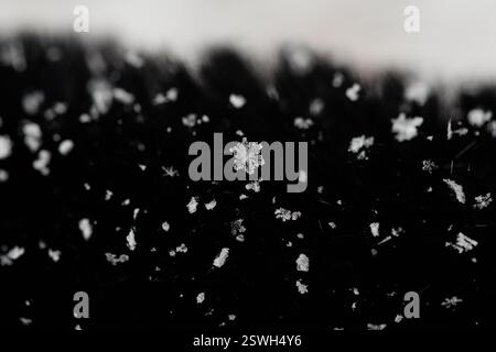 Intricate Snowflake Macro on Black Fabric Stock Photo