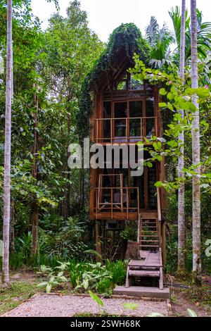 A rustic wooden cabin nestled in the rugged terrain of the Swiss Alps ...