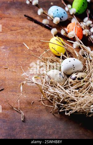 Easter decoration with quail eggs Stock Photo