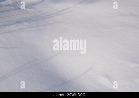 Closeup of smooth snow surface with twigs shadows in a garden in the sunlight in winter Stock Photo