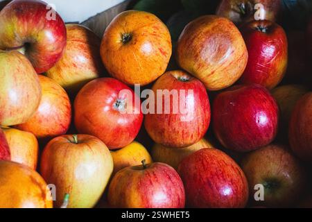 A colorful assortment of ripe apples on display at a market in Ollantaytambo Sacred Valley Peru Stock Photo