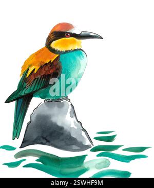 Kingfisher bird. Hand drawn watercolour illustration Stock Photo - Alamy