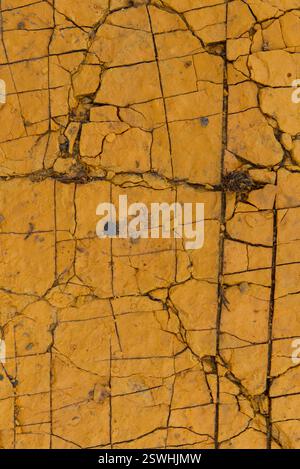 Abstract patterns in sandstone, Yesnaby Stock Photo