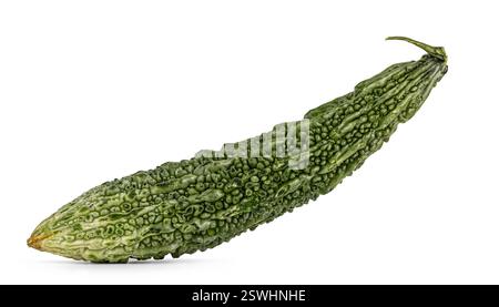 Close-up of a bumpy, fresh, green bitter melon. Isolated on a white background. Stock Photo