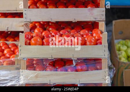 Stacks of Red Tomato in Wooden Crates at Wholesale Market Stock Photo