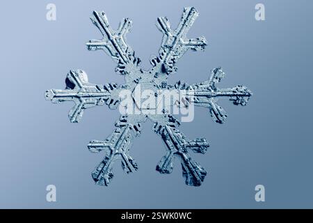 Snowflake in the form of an ordinary hexagonal dendrite. Image was obtained using a Low Temperature Scanning Electron Microscope (LT-SEM). Stock Photo