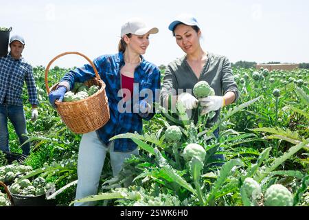 Female plantation workers having conversation about artichoke crop Stock Photo
