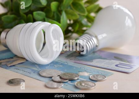 Different types of light bulbs with canadian dollars money and coins, energy efficiency concept Stock Photo