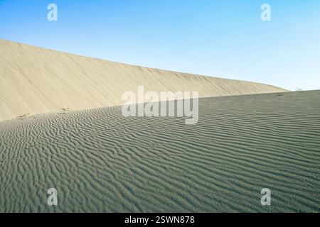 Desert landscape featuring large sand dunes with intricate patterns and a clear blue sky, capturing the vastness of the arid environment Stock Photo