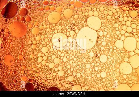 Abstract composition with water and oil drops against yellow and orange background Stock Photo
