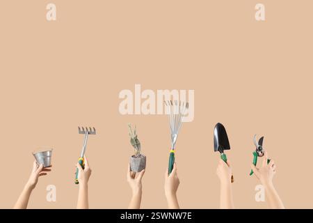 Female hands with gardening tools and cactus on beige background Stock Photo
