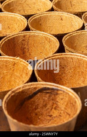 Empty plant in ground natural eco plant pots background backdrop. Compostable sustainable eco friendly plastic free garden supplies concept Stock Photo