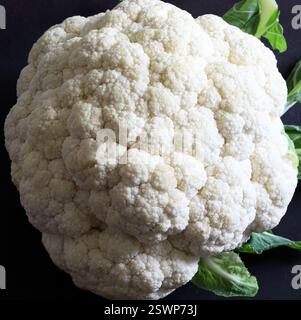 Fresh broccoli isolated on a black background. Healthy and vegetarian food. Copy space. Stock Photo