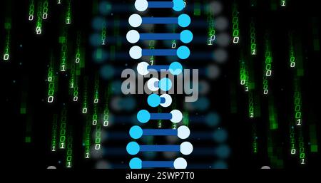 DNA strand and binary coding, scientific data processing image Stock Photo
