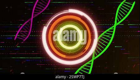 DNA strands and circular digital interface, scientific data processing image Stock Photo