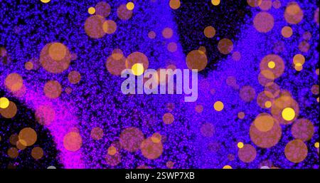 Colorful particles and glowing circles image over dark background Stock Photo
