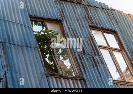A dilapidated building clad in blue corrugated metal panels, with broken windows and green foliage growing inside. Stock Photo