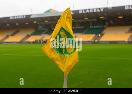 A detailed view of Norwich City corner flag before the Sky Bet ...