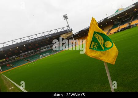 A detailed view of Norwich City corner flag before the Sky Bet ...