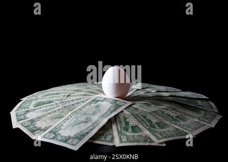 A single white egg rests in a nest of dollar bills, surrounded by deep black, a powerful symbol of the U.S. egg crisis. Stock Photo
