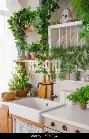 Bright kitchen corner with white sink surrounded by fresh greenery and wooden shelves. Woven basket holds vegetables, while jars and plants enhance in Stock Photo