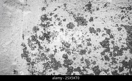Old cement wall painted white as a background Stock Photo