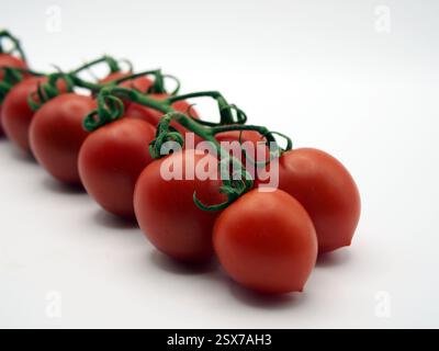 Isolated close-up of ten roma tomatoes (solanum lycopersicum) on a vine seen from an angle on white background. Concept: ingredients, healthy eating, Stock Photo