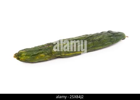 Rotten cucumber isolated on white background Stock Photo