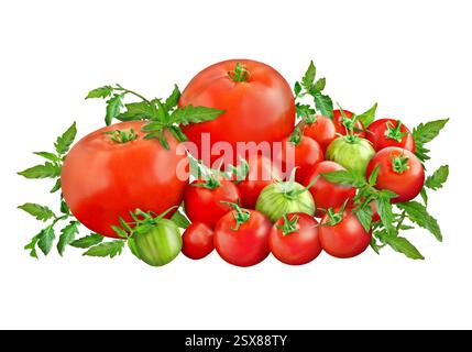 Red and green tomatoes isolated on white background Stock Photo