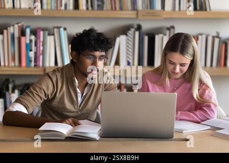 Two students working on joint assignment, preparing for exam together Stock Photo