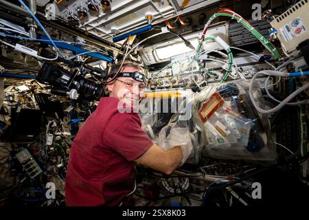ISS - 18 February 2025 - NASA astronaut and Expedition 72 Flight Engineer Nick Hague works in a portable glovebag and cleans pumps, replaces component Stock Photo